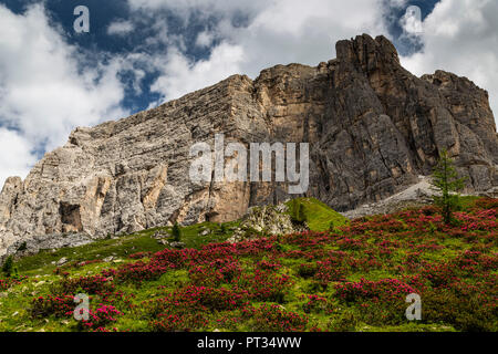 L'Europe, l'Italie, les Alpes, les Dolomites, Montagnes, Veneto, Belluno, Giau Pass, Lastoni di a rapp Banque D'Images