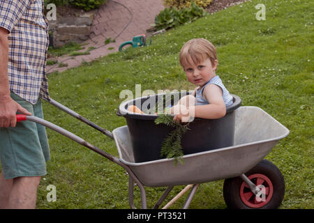 Grandpa donnant son petit fils de 3 ans un tour dans une brouette dans le jardin, Sauerland, Allemagne Banque D'Images