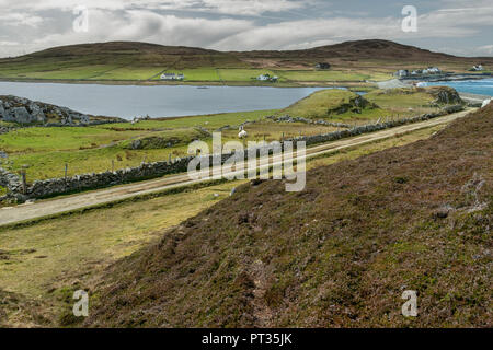L'Irlande, le Connemara, l'île Inishboffin, Inis Bo Finne (île de la vache blanche) se trouve à 11 kilomètres au large de la côte de Galway. L'île est 5.7km par 4km. Banque D'Images