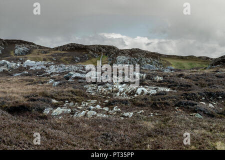 L'Irlande, le Connemara, l'île Inishboffin, Inis Bo Finne (île de la vache blanche) se trouve à 11 kilomètres au large de la côte de Galway. L'île est 5.7km par 4km. Banque D'Images