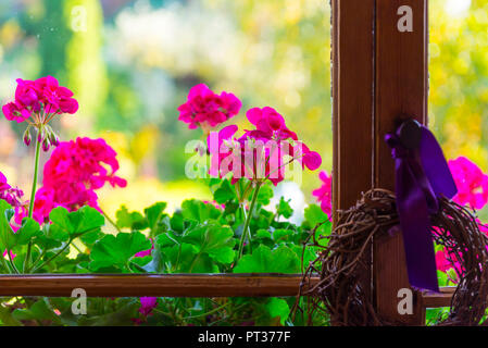 Arrangements de fleurs en face de la fenêtre en bois, restaurant dans l'hôtel Heubad, Fiè allo Sciliar, Tyrol du Sud, Italie Banque D'Images