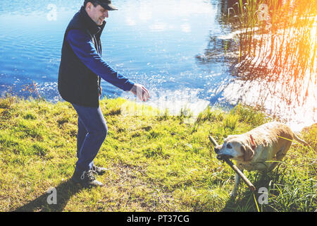 Un homme avec le Labrador retriever chien marche sur la rive d'un lac à l'automne. Le chien a pris un bâton à l'extérieur du lac et l'apporta au propriétaire Banque D'Images