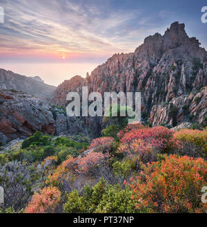 Calanques de Piana, golfe de Porto, Corse, France Banque D'Images