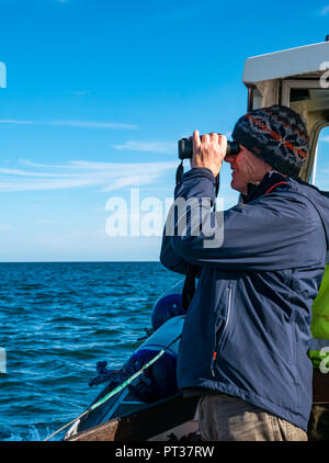 L'homme regardant à travers des jumelles sur bateau dans le Firth of Forth, East Lothian, Scotland, UK Banque D'Images