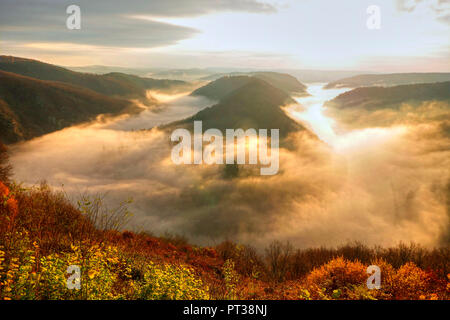 Matin brouillard à la grande boucle de la Sarre, Mettlach-Orscholz, Saarland, Allemagne Banque D'Images