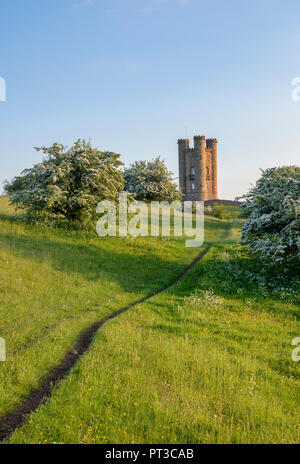 Broadway Tower et l'aubépine / mayblossom au printemps le long du chemin de Cotswold. Broadway, Cotswolds, Worcestershire, Angleterre. Banque D'Images