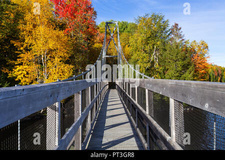 Close up de la passerelle en bois sur le pont Shogomoc Walking Trail à l'automne, près de Nackawic, Nouveau-Brunswick, Canada. Banque D'Images