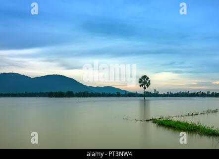 Palmier solitaire chemin entre champs inondés comme un lac encore flottant dans les régions rurales de la saison sur le Vietnam Banque D'Images