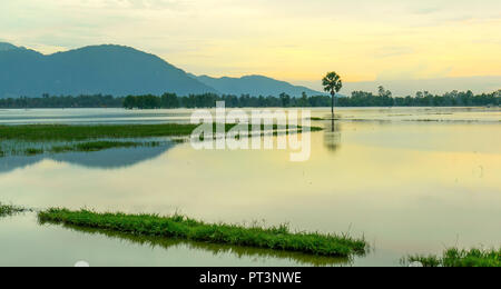 Palmier solitaire chemin entre champs inondés comme un lac encore flottant dans les régions rurales de la saison sur le Vietnam Banque D'Images