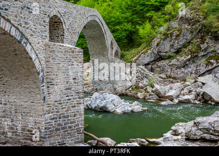 Le célèbre pont du Diable belle antique près de la ville d'Ardino des Rhodopes, Bulgarie, vue partielle de la structure prise au printemps avec les eaux de la rivière verte saturée Banque D'Images