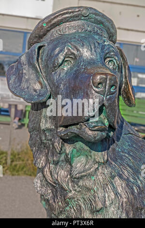 Statue de Dog Bamse, Honningsvag, Norvège Banque D'Images