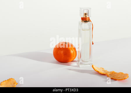 L'eau de toilette avec une odeur fruitée debout sur fond blanc, d'ombre. Parfum d'agrumes en bouteille transparente près d'orange mandarine un Banque D'Images