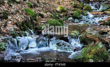 La formation de glace sur un petit ruisseau forestier, Wenichbach Tabener dans la jungle, Taben-Rodt, vallée de la Sarre, Rhénanie-Palatinat Banque D'Images