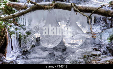 La formation de glace sur un petit ruisseau forestier, Wenichbach Tabener dans la jungle, Taben-Rodt, vallée de la Sarre, Rhénanie-Palatinat, Allemagne Banque D'Images