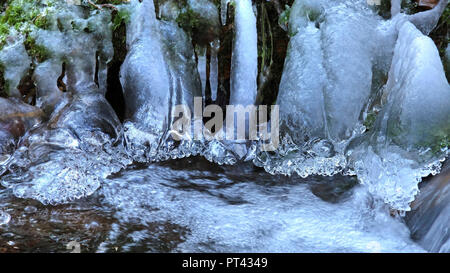 La formation de glace sur un petit ruisseau forestier, Wenichbach Tabener dans la jungle, Taben-Rodt, vallée de la Sarre, Rhénanie-Palatinat Banque D'Images