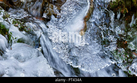 La formation de glace sur un petit ruisseau forestier, Wenichbach Tabener dans la jungle, Taben-Rodt, vallée de la Sarre, Rhénanie-Palatinat, Allemagne Banque D'Images