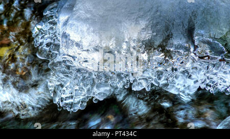 La formation de glace sur un petit ruisseau forestier, Wenichbach Tabener dans la jungle, Taben-Rodt, vallée de la Sarre, Rhénanie-Palatinat, Allemagne Banque D'Images