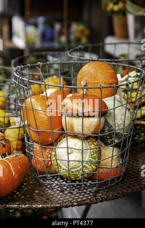 Citrouilles d'Halloween Orange, détail des légumes frais Banque D'Images