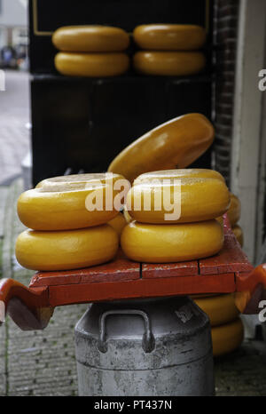 Fromage edam Artisan, détail de la fabrication du fromage hollandais Banque D'Images