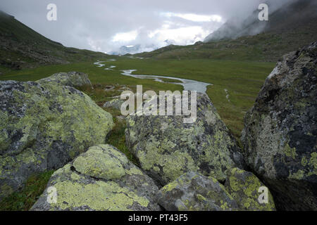 Haute lande Hohes Moos dans la zone de la lumière du matin, Alpes de Stubai, Tyrol, Autriche. Banque D'Images