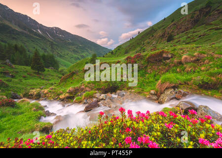 Lever du soleil dans le parc national de Stelvio, province de Brescia, Lombardie, Italie, Europe district Banque D'Images