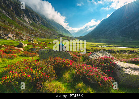 Adame Valley dans le parc de l'Adamello, district de Lombardie, Province de Brescia, Italie, Banque D'Images