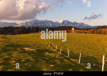 Clôture sur les pâturages de prese Alm, Mezzomiglio Cansiglio, forêt, Préalpes de Belluno, San Lorenzo del Vallo, province de Belluno, Veneto, Italie Banque D'Images