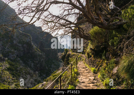 Sur le sentier de randonnée femme de Pico Ruivo à Pico do Areeiro, Achada do Teixeira, Santana, municipalité de la région de Madère, Portugal, Banque D'Images