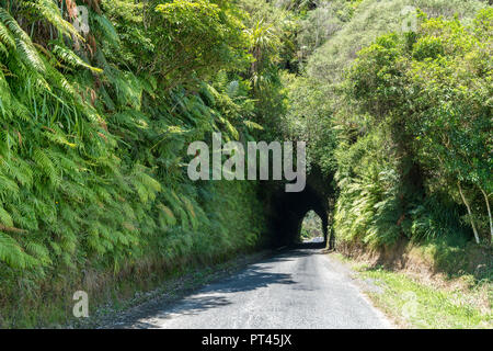 Tunnel routier Okau dans la vallée de la rivière Tongaporutu, Ahititi, District de New Plymouth, Taranaki, Région de l'Île du Nord, Nouvelle-Zélande, Banque D'Images