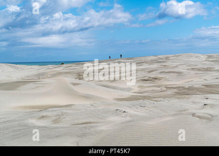 Les gens marcher sur les dunes de sable de Farewell Spit, réserve naturelle de Puponga, district de Tasmanie, île du Sud, Nouvelle-Zélande, Banque D'Images