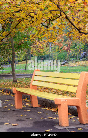 Banc en bois et des arbres avec des feuilles jaunes et vertes dans le parc de la ville à l'automne Banque D'Images