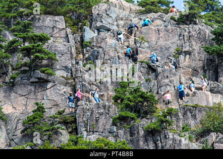 Falaises de ruche, le Beehive Trail randonnée en montagne, l'Acadia National Park, Maine, USA Banque D'Images