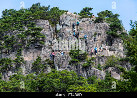 Falaises de ruche, le Beehive Trail randonnée en montagne, l'Acadia National Park, Maine, USA Banque D'Images