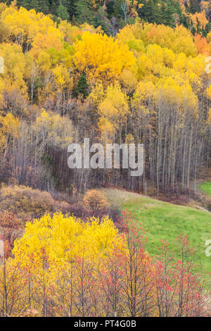 Canada, Québec, région du Saguenay-Lac Saint-Jean, Fjord du Saguenay, Ste-Rose-du-Nord, paysage d'automne Banque D'Images