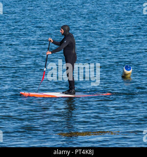 Paddleboarder dans Groomsport Harbour en Irlande du Nord Banque D'Images