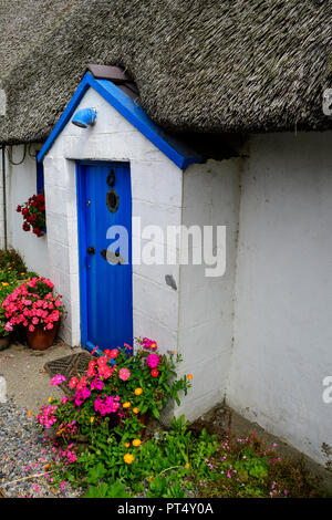 Porte avant bleu dans une chaumière à Kilmore Quay, Co Wexford, Irlande Banque D'Images