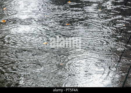 Grandes flaques de pluie sur les trottoirs de la ville avec de l'eau ondulations et cercles en saison d'automne Banque D'Images