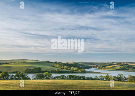 Vue sur le viaduc, rivière Lynher Notter, Cornwall Banque D'Images