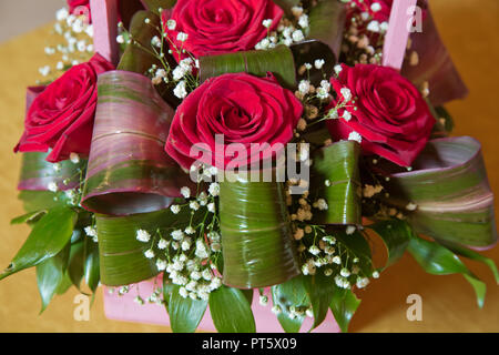 Magnifique bouquet de roses rouges close-up . Beau bouquet de fleurs roses close-up . Bouquet de roses rouge isolé sur fond jaune. Roses rouges, un énorme bouquet de fleurs . bouquet de roses dans panier Banque D'Images