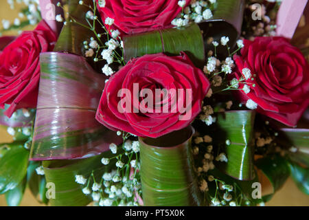 Magnifique bouquet de roses rouges close-up . Beau bouquet de fleurs roses close-up . Bouquet de roses rouge isolé sur fond jaune. Roses rouges, un énorme bouquet de fleurs . bouquet de roses dans panier Banque D'Images