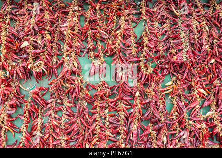 Paprika hongrois guirlandes séchant au soleil à Budapest, Hongrie Banque D'Images