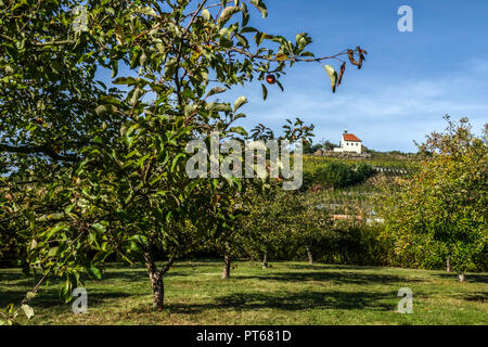 Jardins de Prague, vue sur la petite chapelle du vignoble de Saint clair depuis le jardin du château de Troja, Troja Prague, République tchèque Banque D'Images