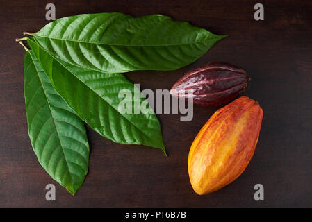 Les feuilles et les gousses de cacao sur table en bois foncé Banque D'Images