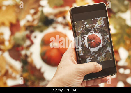 Main tenant le téléphone et la prise de photo d'automne élégante télévision jeter dans les feuilles de citrouille couronne, avec des baies, des noix, des glands sur fond blanc. Mobi moderne Banque D'Images