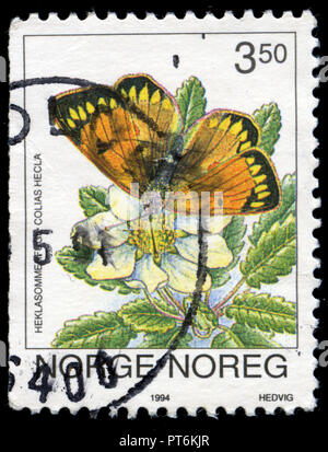 Timbre cachet de la Norvège a publié en 1994 dans la série Papillons Banque D'Images