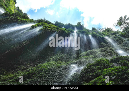 La magnifique cascade de Madakaripura, vue naturelle de l'Est de Java, Indonésie. C'est dans la plus grande cascade de l'Indonésie. Banque D'Images