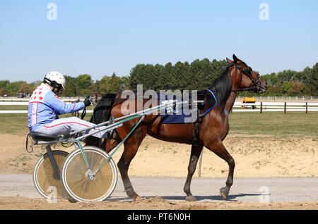 La course à l'Hippodrome jockey et cheval Banque D'Images