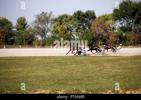 Les chevaux de courses dans les fast motion à l'hippodrome Banque D'Images