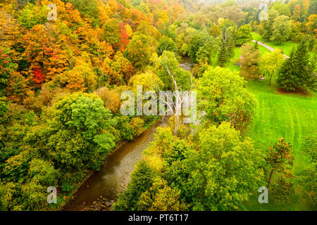 Les couleurs de l'automne luxuriant le long de la rivière Don (dans le parc de Seton et dans East York, Toronto, Ontario, Canada Banque D'Images