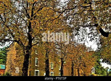 La capture de colorations d'automne très riche en haute Melton, dans la région de Doncaster, dans le Yorkshire du Sud. Banque D'Images
